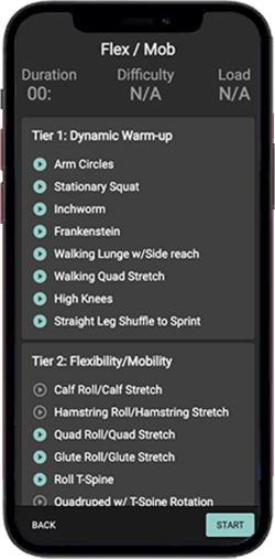 FitForce Interactive Application Preview